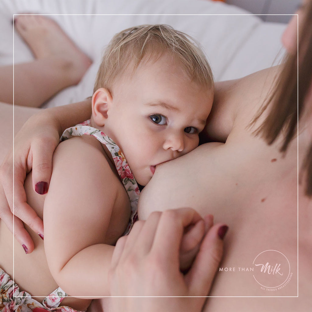 Online Breastfeeding Program - More Than Milk NZ