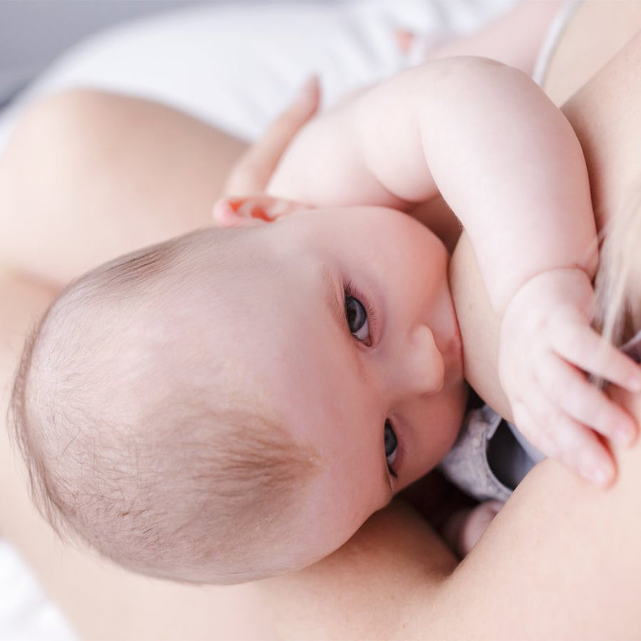 Virtual Breastfeeding Consultations - More Than Milk New Zealand